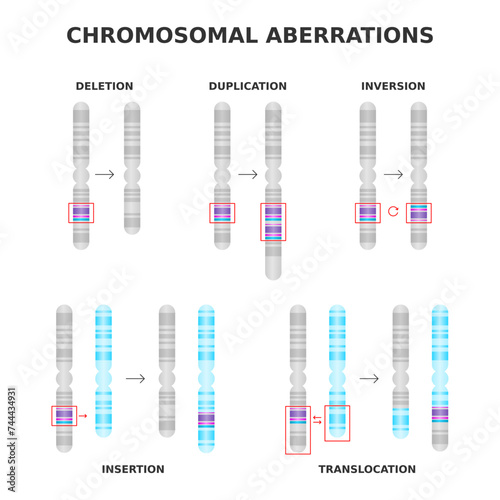 Chromosomal aberrations. Deletion, duplication, inversion, translocation, insertion. Chromosome structure abnormalities, mutations. Medical science diagram. Genetics and DNA. Vector illustration.