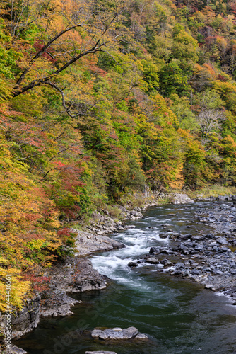 北海道占冠村、色づき始めた秋の鵡川【10月】