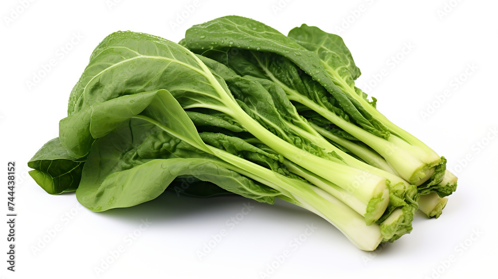 Chinese broccoli vegetables that are isolated against a blank white background Chinese broccoli vegetables that are isolated against a blank white background