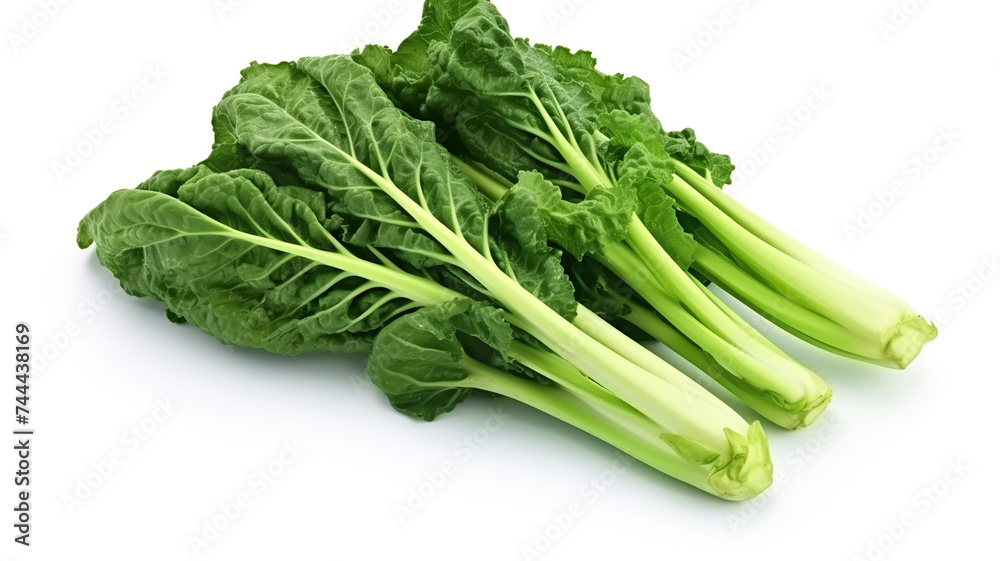 Chinese broccoli vegetables that are isolated against a blank white background Chinese broccoli vegetables that are isolated against a blank white background