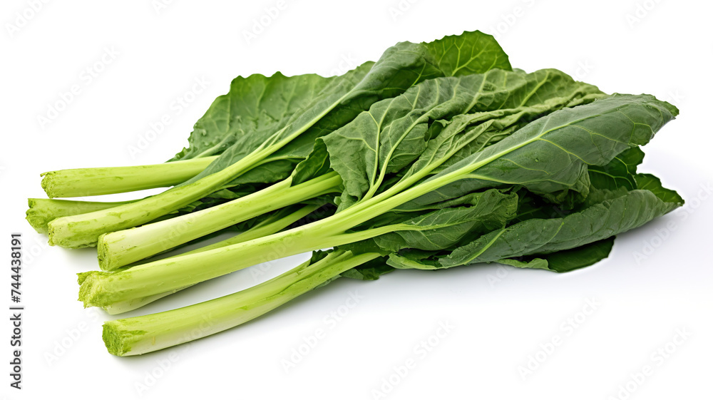 Chinese broccoli vegetables that are isolated against a blank white background Chinese broccoli vegetables that are isolated against a blank white background