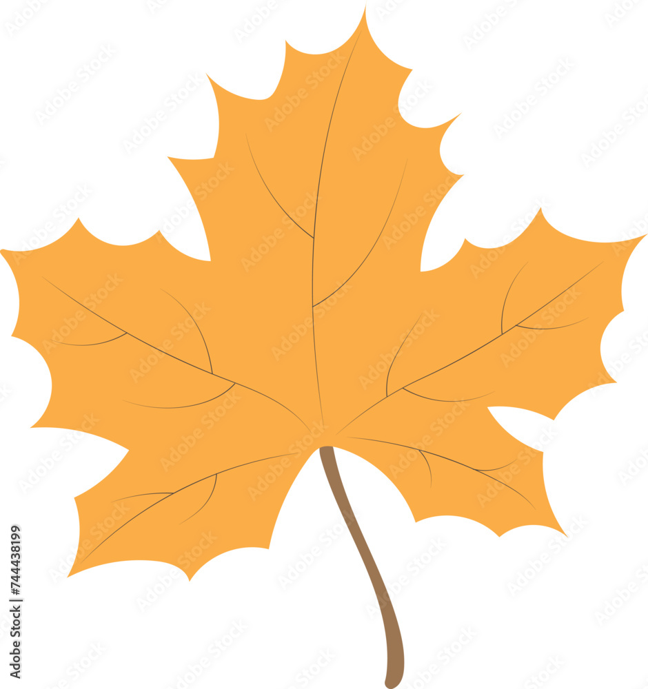 Obraz premium Autumnal Maple Leaf Vector illustration
