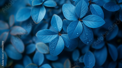 Blue background. © Janis Smits