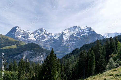 Fototapeta Naklejka Na Ścianę i Meble -  jungfrau summit, jungfrau railway, swiss alps