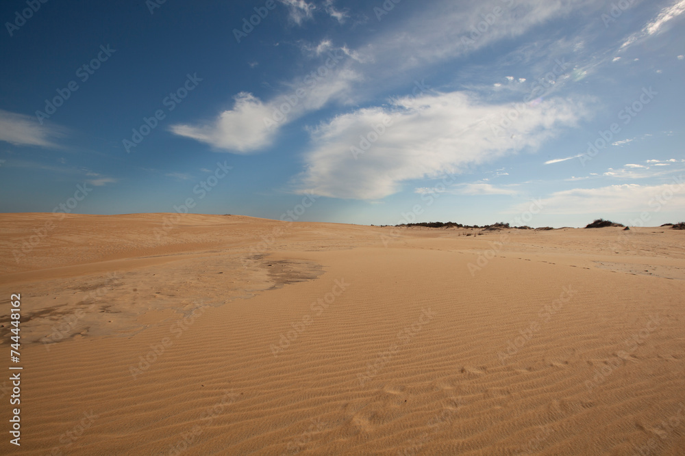 A scenic view of sand dunes at Jockey's Ridge State Park in the Outer Banks in North Carolina.