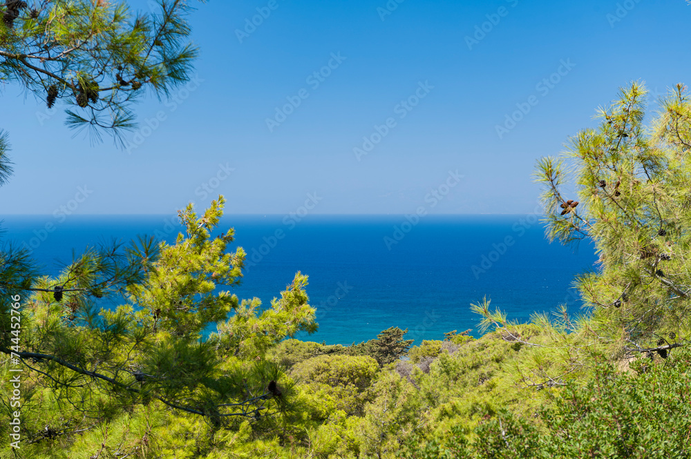 Blick auf die blaue, ruhige See des Mittelmeers durch bzw. über einen Pinienwald auf der griechischen Insel Rhodos