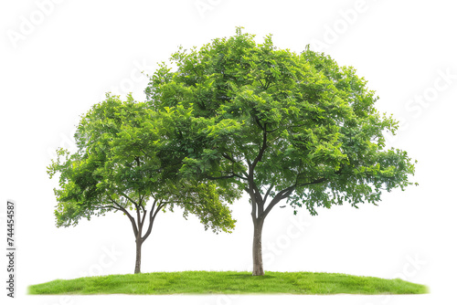 green tree  AI generated