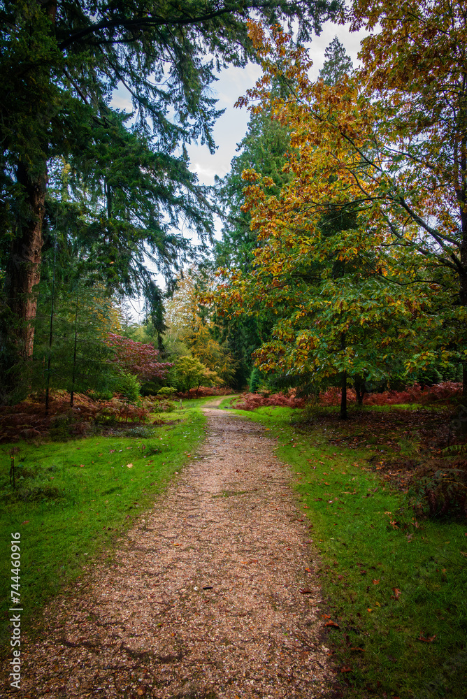 Happy Trails of Autumn Happy Trails of Autumn