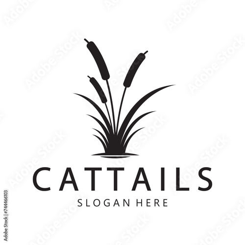cattails or river reed grass plant logo design, aquatic plants, swamp, wild grass vector