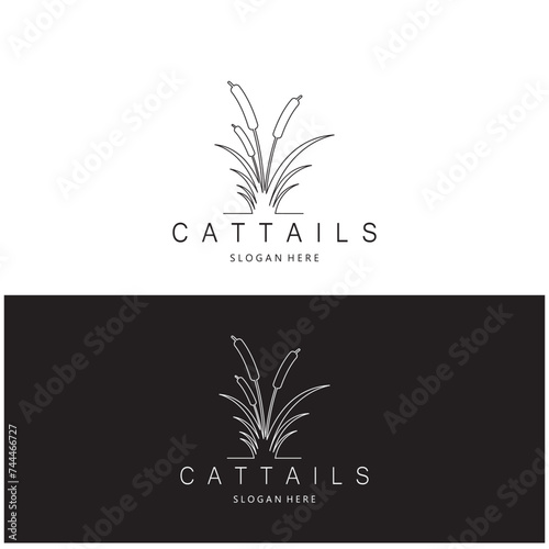cattails or river reed grass plant logo design, aquatic plants, swamp, wild grass vector