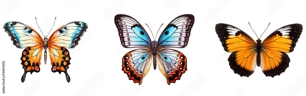 multicolored butterflies set isolated on transparent background multicolored butterflies set isolated on transparent background
