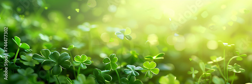 Clover background banner for Saint Patrick's Day