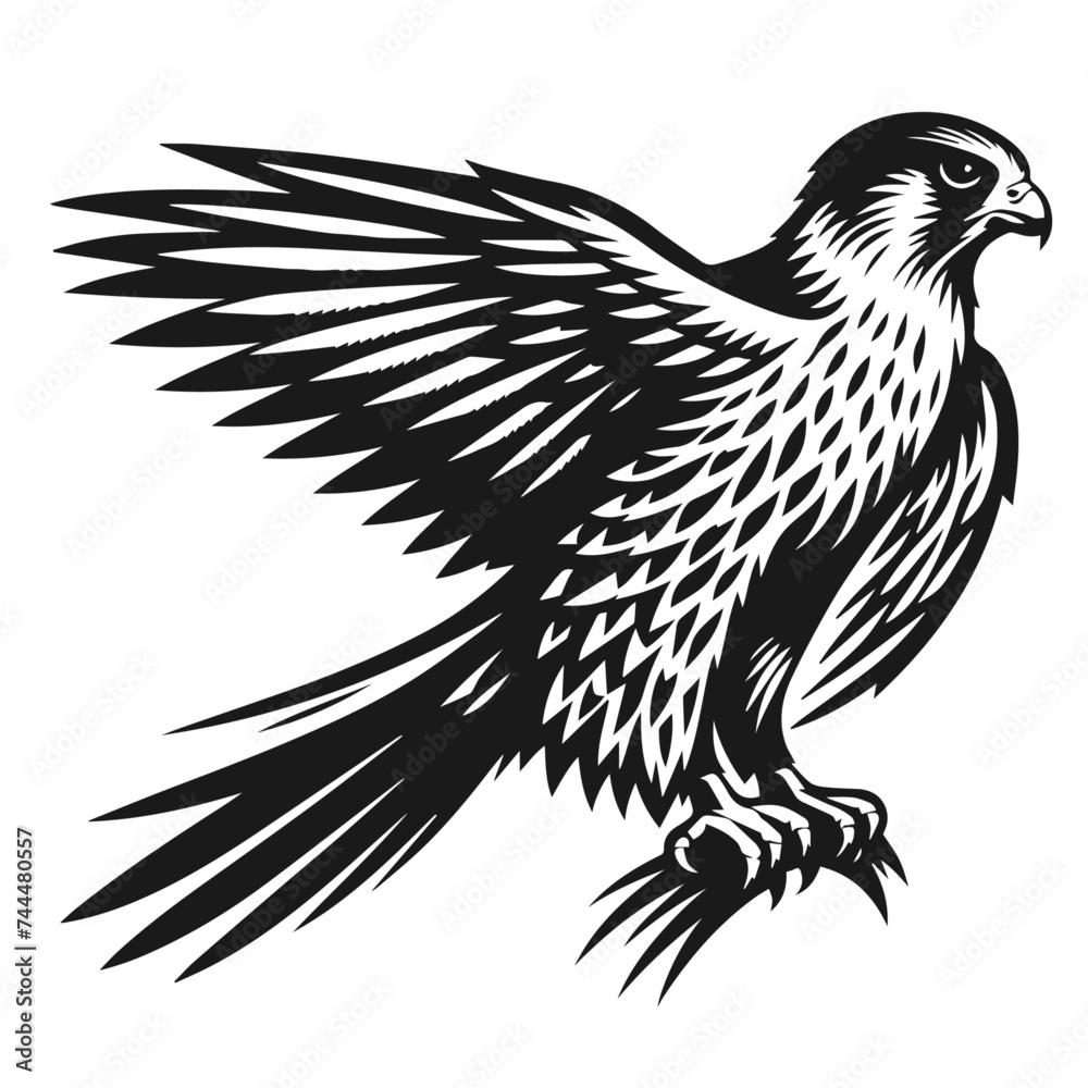 eagle vector illustration isolated on white background 