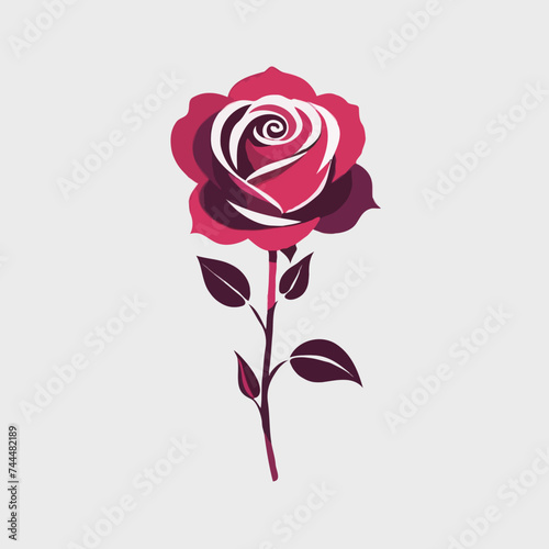 pink rose on a white background 