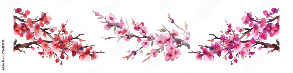 Cherry bloosom illustration. Watercolor vector flowers. Spring flower set.