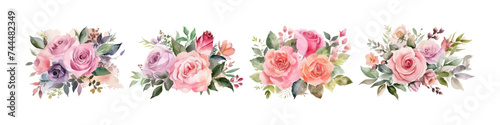 Watercolor vector flowers. Botanical illustration. Wild bouquet.