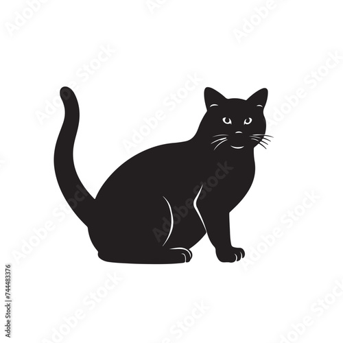 cat  silhouette  