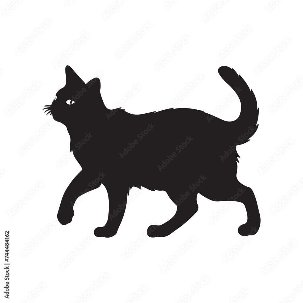 cat  silhouette  