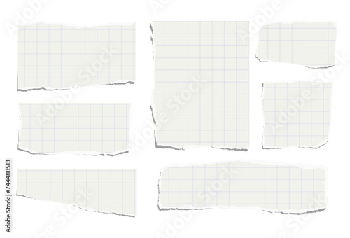 Set of torn pieces of checkered paper isolated on a white background. Paper collage. Vector illustration. photo