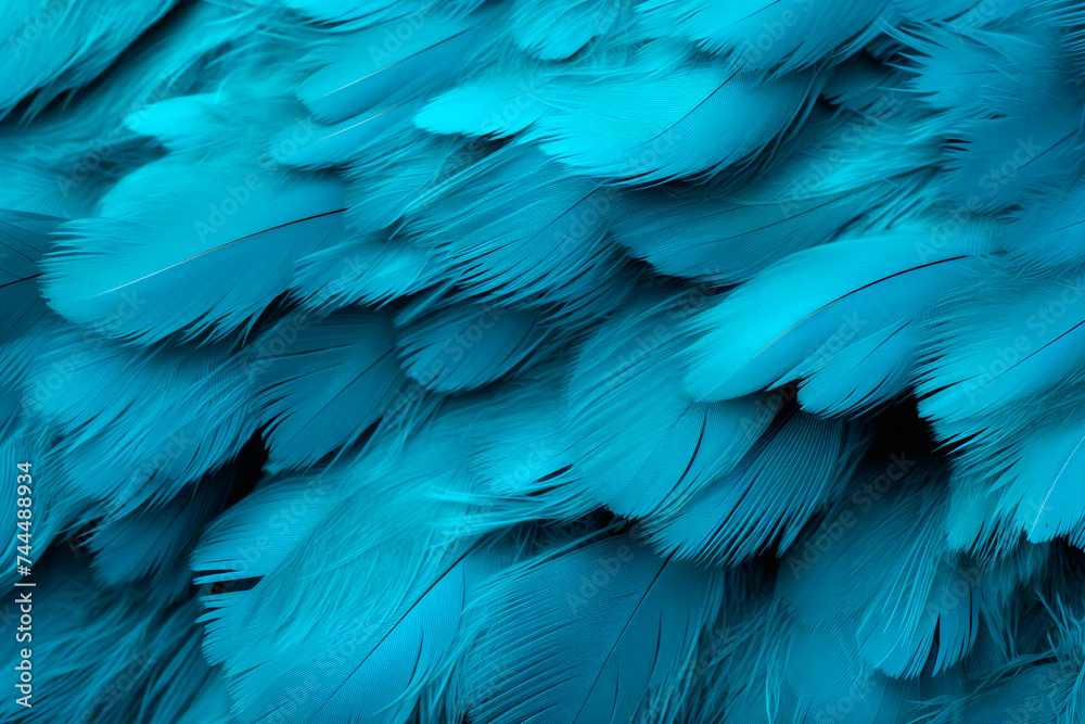 Fototapeta premium Blue feathers close-up, background, pattern