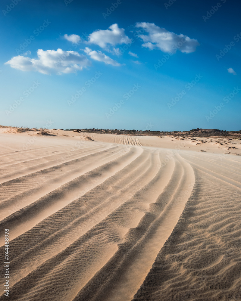 Naklejka premium Trails running through sand dunes on a sunny day