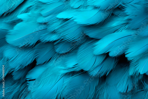 Blue feathers close-up, background, pattern © Мария Кривецкая