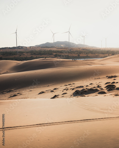 Sand dunes at golden hour