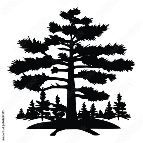 Black and white Vector illustration of  forest, trees, plants