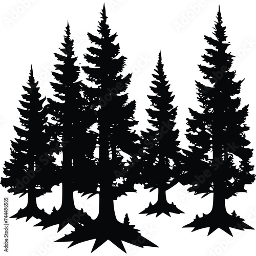 Black and white Vector illustration of  forest, trees, plants