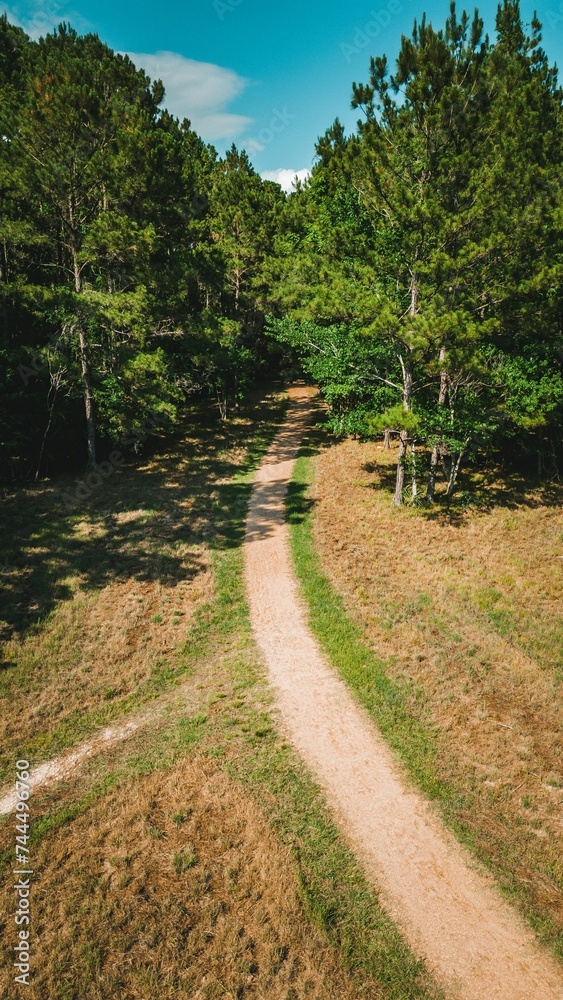 Aerial view of a trail in a forest in East End Park in Kingwood, Texas