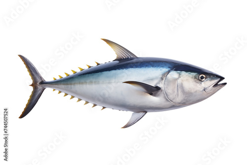 Tuna fish isolated on transparent or white background  png