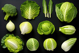 Variety of harvest seasonal sprouts lined up on a black background with copy space. Fresh and natural vegetables: lettuce, onion, broccoli, white cabbage, kale, savoy cabbage, bok choy. 