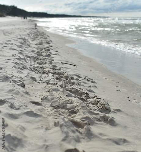 Wallpaper Mural footprints in the sand on the shore of the Baltic Sea Torontodigital.ca