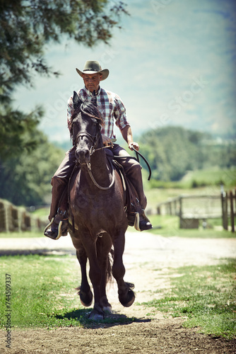Cowboy, summer and man riding horse with saddle on field in countryside for equestrian training. Nature, western and rodeo with mature horseback rider on animal at ranch outdoor in rural Texas