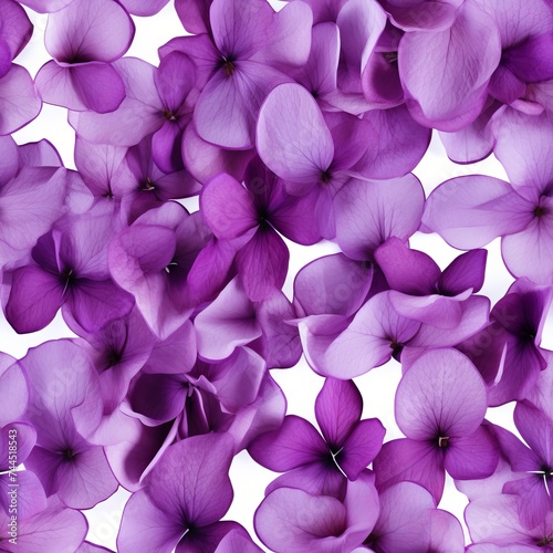 Vibrant purple flower petals and delicate leaves on a pure white background - natures beauty