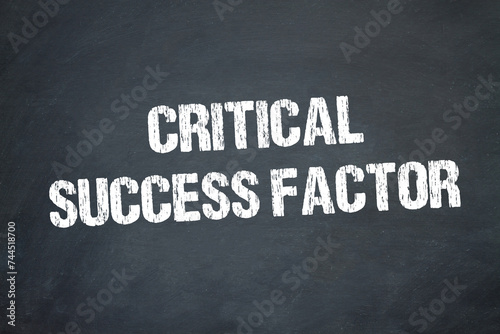 Critical Success Factor 