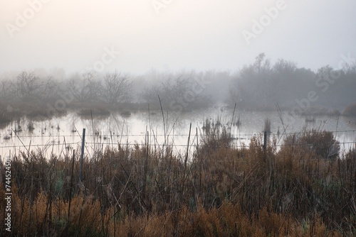 Albufera de Mallorca in winter with fog