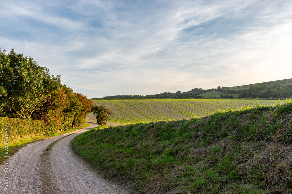 A track through farmland in Sussex, on a sunny late summer's evening