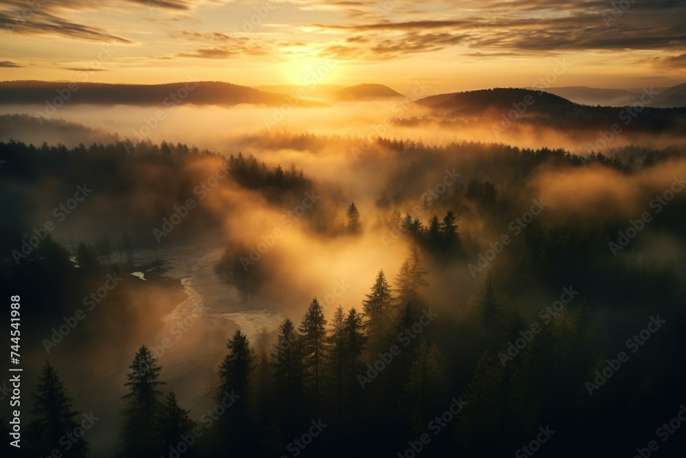 Fototapeta premium A drone shot of a misty forest with rays of the setting sun breaking through fog