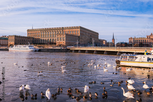 Swedish royal palace, old town, Stockholm, late winter, bright morning sunlight, birds on sea ice and in the water.