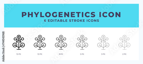 Phylogenetics line icon symbol. Logo. Icon vector illustration with editable stroke. photo