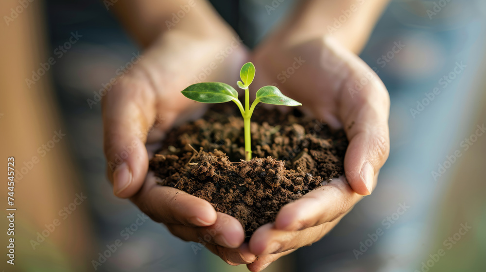 pair of hands are cupping a small amount of soil with a young green plant sprouting from the center.