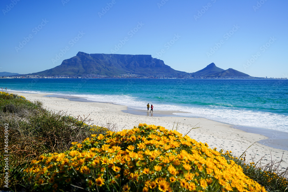 Obraz premium View of Table Mountain from Bloubergstrand, Cape Town