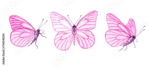 Painted pink butterflies watercolor set. Hand drawn illustration isolated background. Hand-painted elements insect with wings. Hand drawn delicate insects. For decoration  postcard  fabric.