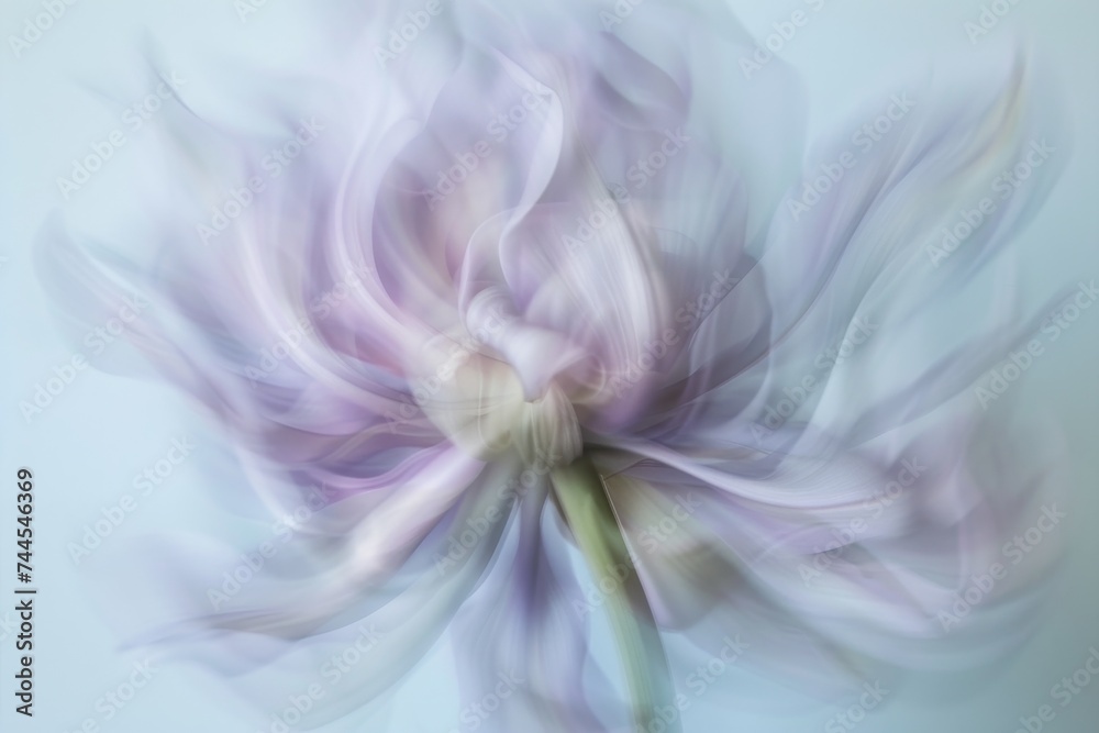 Abstract still life, a flower in movement Abstract still life, a flower in movement