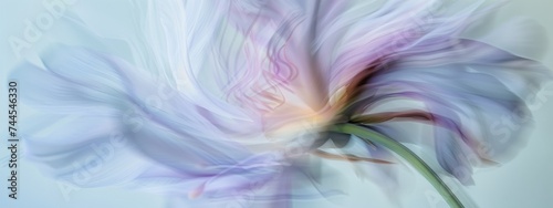 Abstract still life, a flower in movement