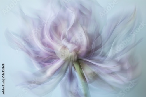 Abstract still life  a flower in movement
