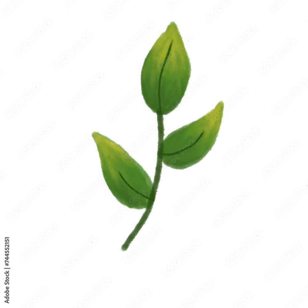 Green leaf gradation Green leaf gradation