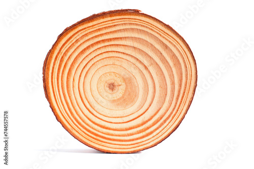 Fototapeta Naklejka Na Ścianę i Meble -  Cross Section View of a Small Circular Piece of Wood