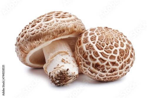 Shiitake mushroom isolated on white